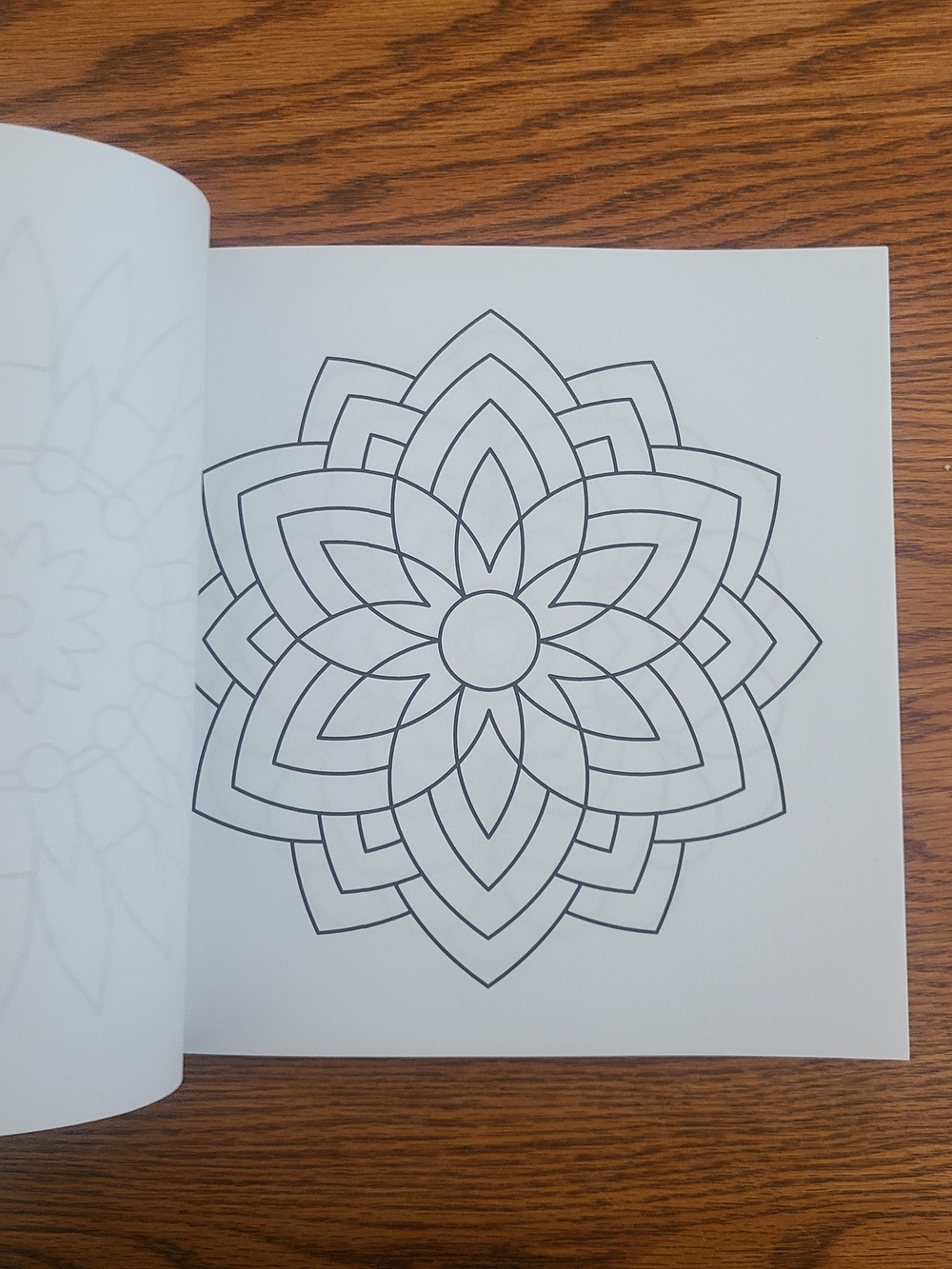 Easy Adult Coloring Book W/Ohuhu Glitter Markers - Picture 10 of 12